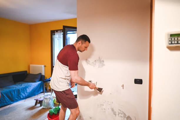Best Mold Remediation for Schools in York, SC